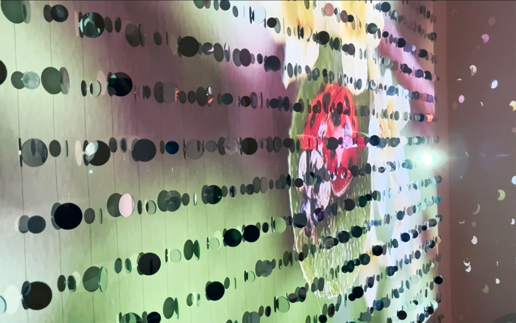 Close up wall of mirrors with projection of lady bug and fractals