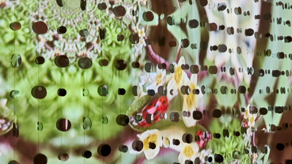 Close up wall of mirrors with projection of lady bug and fractals